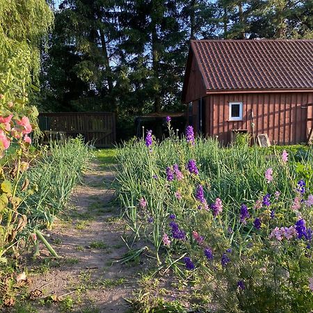 Agroturystyka Omelia Człuchów Екстериор снимка